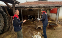 Edirne'de 2025 yılı hayvancılık işletme denetimleri tamamlandı